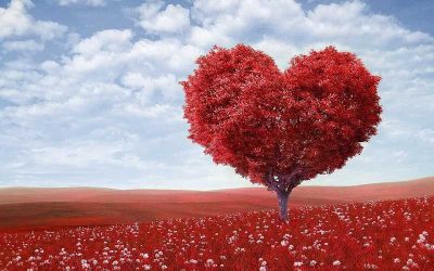 אהבה עצמית, עץ בצורת לב אדום